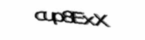 Security check image, please type the characters shown